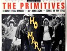 The PRIMITIVES 