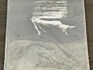 Bill Evans - Jim Hall – Undercurrent – Mobile Fidelity Sound Lab - #11647 – NEW