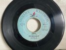 The Enjoyables - Shame / I'll take you back - Shrine 118 - VG- Rare Soul 45