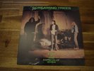 Screaming Trees ‎– Even If And Especially When (1987 Vinyl)