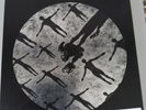 muse absolution xx Box Set