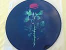 Robin S. Show Me Love Picture Disc LP Import