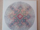 Red Hot Chili Peppers / I’m Beside You 2LP Vinyl / RSD #0128 / EXCELLENT COND