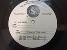 DAVID SYLVIAN GONE TO EARTH INSTRUMENTAL LP US TEST PRESSING ROBERT FRIPP RARE