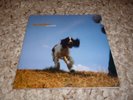 The Cardigans Emmerdale Vinyl LP Gatefold Sleeve