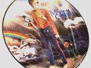 MARILLION  ( FISH ) Misplaced Childhood LP VINYL RECORD PICTURE DISC MINT