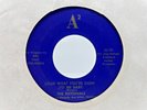 Michigan Garage 45 THE RATIONALS Look What You're Doin / Gave My Love ORIG NM