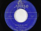 Doo-Wop R&B Rocker 45 - Casanovas - Please Be My Love - Apollo