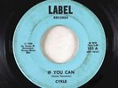Garage Psych 45 - Cykle - If You Can - Label - rare