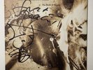 SIGNED Incredible E.G. O'Reilly Birth Of Maudie UK 7 Inch Terence Trent D'Arby