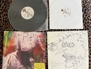 PROMO -Too High To Die - Meat Puppets (12” Vinyl, 10” 45 RPM  Limited, 1994, US)