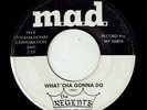 Northern Soul * THE REGENTS * What'cha Gonna Do * MAD * RARE  * MP3