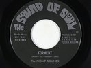 Garage 45 - Night Sounds - Torment/Somethin' Fishy - Sound Of Soul - VG+