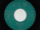 Rock & Roll Mod Inst. 45 - Little Ellis & His L 7's - Barb Wire - CLW