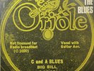 RECORDING THE BLUES   Rare 1970 UK CBS label 16-track Vinyl LP   MINT VINYL