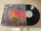 Meat Puppets II 1984 SST Rec 1st Press LP