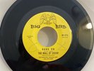 The WALL OF SOUND 45, 7” On Big Bird. Hang On. Fuzz Northern Soul. 60’s Garage