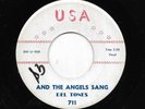 DEL TONES 45RPM '63 USA AND THE ANGELS SANG AWESOME VERSION VG+++ VINYL RARE