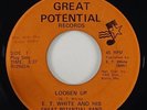 E.T. White & His Great Potential Band 
