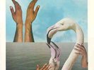 Herbie Hancock Mr. Hands NEAR MINT Columbia Vinyl LP