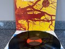 VINYL LP WISHBONE ASH PILGRIMAGE UK 1ST PRESS GATEFOLD RED/BROWN LABEL EX/EX