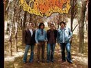 THE DOLLY ROCKER MOVEMENT - ELECTRIC SUNSHINE - Vinyl (LP)