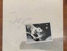 FLEETWOOD MAC [Tusk] SIGNED (Stevie Nicks) AUTOGRAPHED