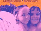 Smashing Pumpkins Siamese Dream 180g Vinyl Double LP Digital Remaster Gatefold