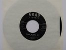 RAY JOHNSON Shake A Little Bit Original US 45 Goad RnB BLUES 7”