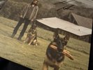 NOAH KAHAN VINYL CHESTNUT - SIGNED BY NOAH - STICK SEASON