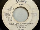 Hattie Littles - Your Love is Wonderful / Here You Come 45 Gordy Promo HEAR