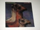 33rpm THE ROCHES we three kings(SEALED/1990)MCA-10020 nice SEE PICS