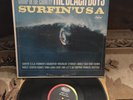 the beach boys surfin USA Misirlou Capitol MONO T-1890 EX inner Sleeve