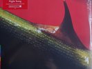 Bollywood LP New Sealed Nusrat Fatehj Ali Khan Night Song