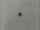 A Perfect Circle Eat the Elephant Deluxe box set (Tool, Puscifer, Maynard Keenan