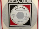 Northern Soul, R&B, Lorraine Chandler, I Cant Change, RCA Victor USA, Demo NM