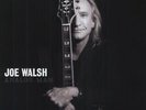 Joe Walsh - Analog Man 180 Gram Audiophile Vinyl LP Edition (New/Sealed)