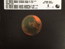 The Immortals - Mortal Kombat - Used Vinyl Record 12 - G4593z