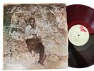 JOHN HOLT - A LOVE I CAN FEEL [ STUDIO ONE ]  LP ▶