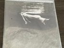 BILL EVANS & JIM HALL – UNDERCURRENT – MOBILE FIDELITY SOUND LAB #11648 – SEALED
