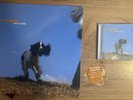 Emmerdale by The Cardigans 2019 Vinyl Release + CD