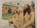 GUIDED By VOICES Sunfish Holy Breakfast Matador Blue Vinyl Play Tested EX
