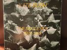 KATE BUSH THE SINGLE FILE First Limited Numbered Edition 45rpm box set Complete