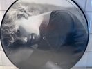 Brand New Taylor Swift Cardigan Picture Disc Vinyl