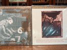 Pixies - 2 Albums Surfer Rosa AND Doolittle - NEW SEALED - Mobile Fidelity Vinyl