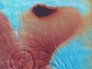 PINK FLOYD - Meddle (remastered) - Vinyl (gatefold 180 gram vinyl LP)