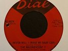Rare Northern Soul - The Magnificent 7 - Never Will I - Dial - Original Issue