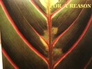 Lifetones - For a Reason - Vinyl LP - Ex-'This Heat' MASTERPIECE reissue