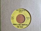 The Trips - 'There's That Mountain' on Soundville Records - Northern Soul