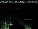 BILL EVANS TRIO - At Shelly's Manne Hole - Vinyl (LP)